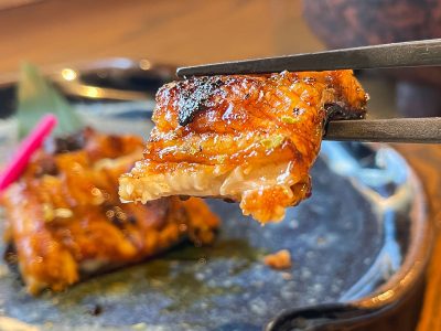 てまひま料理「根っこや」でうな平の”うなぎ蒲焼”、鮎塩焼き、刺身盛(のどぐろ付)食べた！／島根県松江市