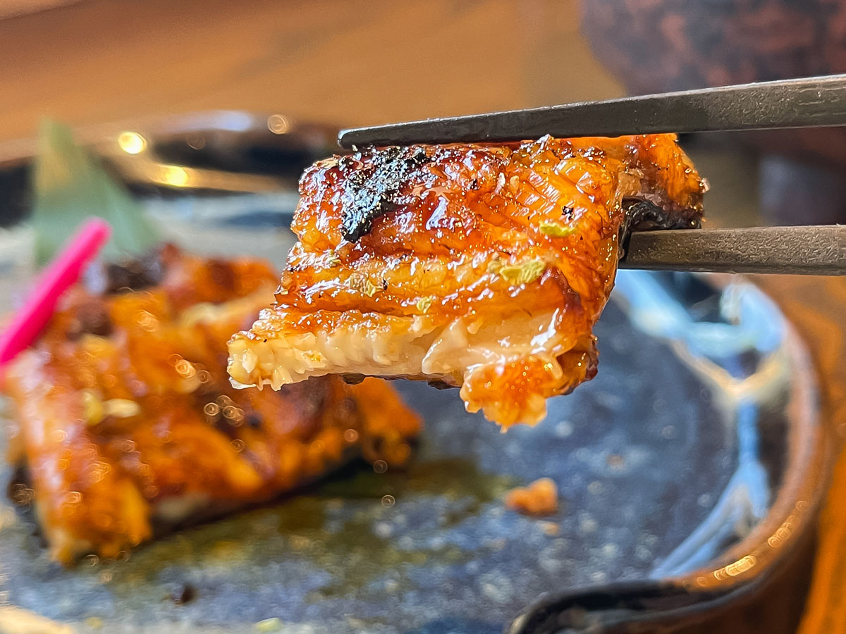 てまひま料理「根っこや」でうな平の"うなぎ蒲焼ハーフ"、鮎塩焼き、刺身盛(のどぐろ付)食べた!/島根県松江
