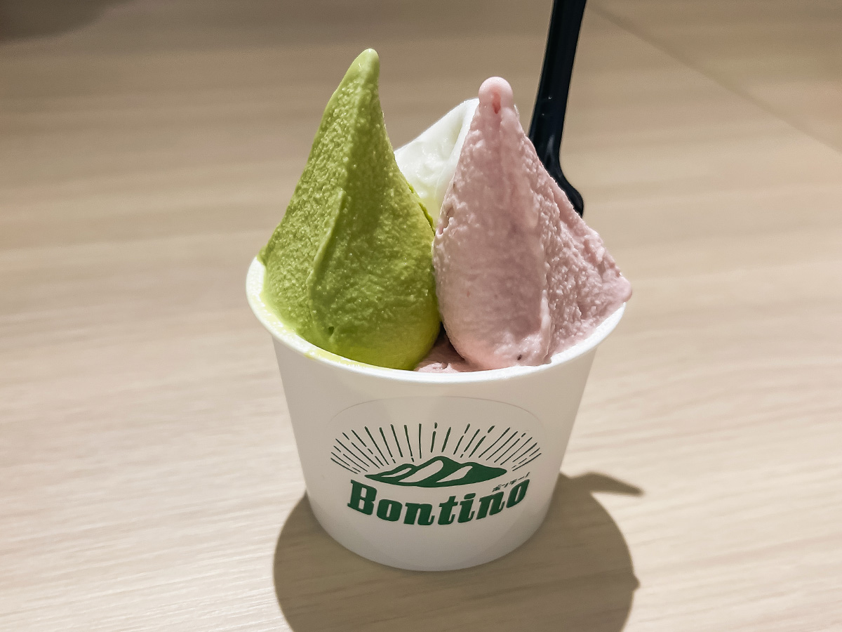 「ボンチーノ」で宮崎県産いちご・日南レモン・日向夏などジェラート食べた！／道の駅 都城NiQLL(ニクル)