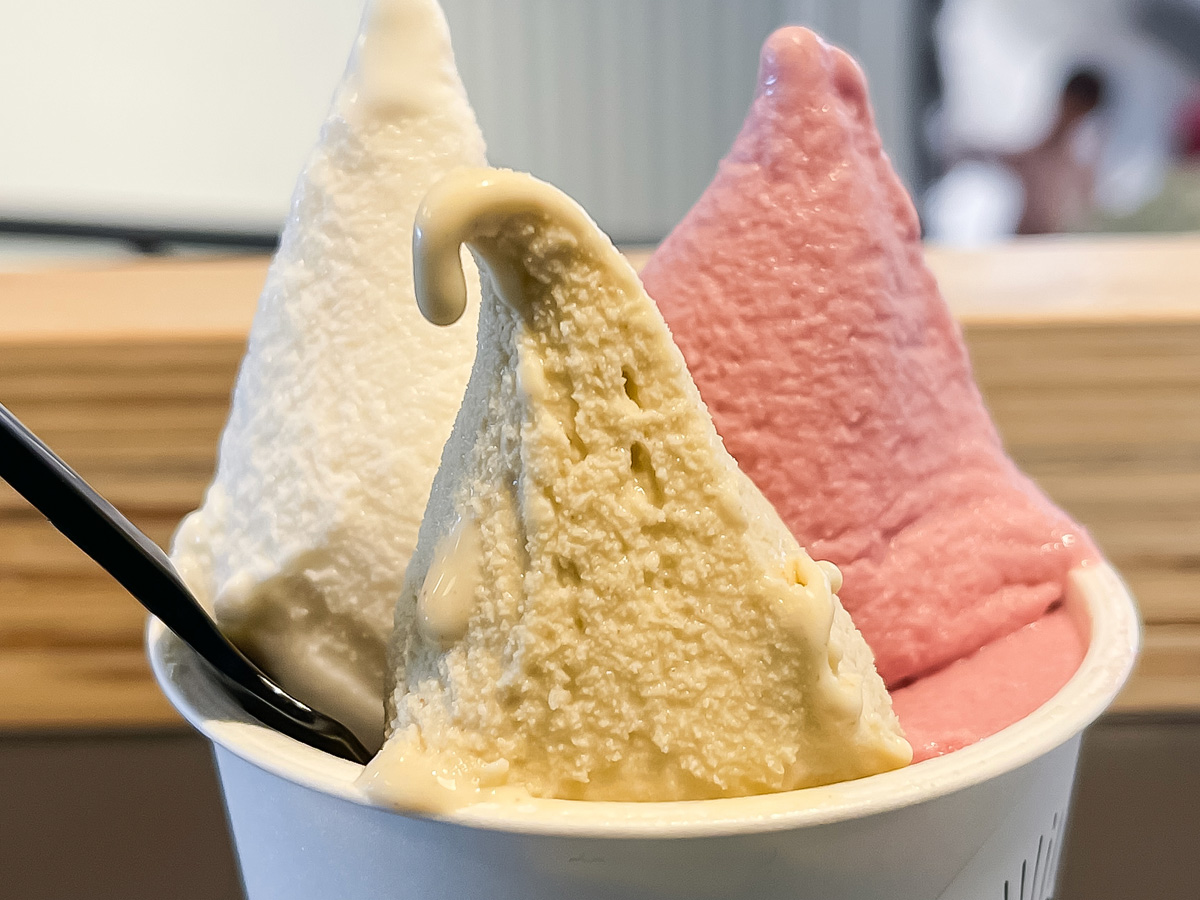 「ボンチーノ」で宮崎県産いちご・日南レモン・日向夏などジェラート食べた！／道の駅 都城NiQLL(ニクル)