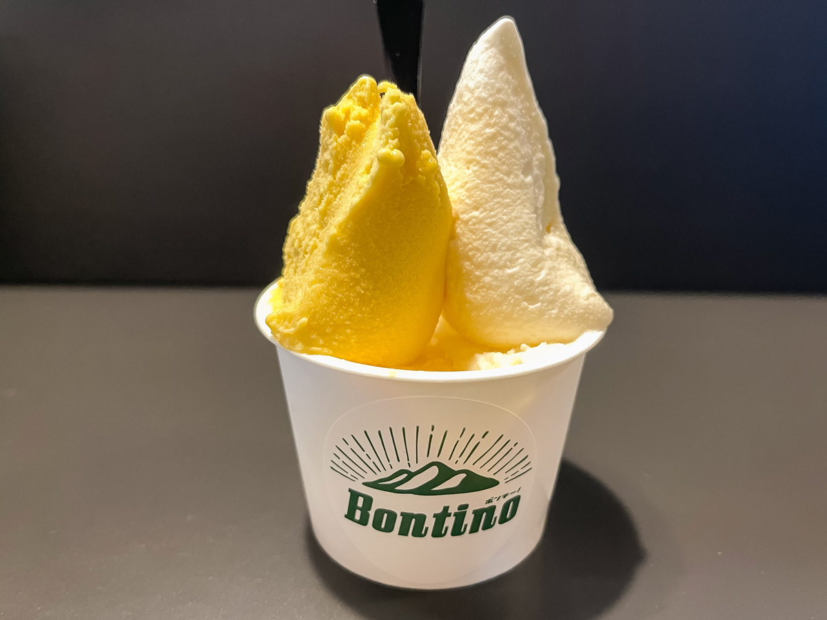 「ボンチーノ」で宮崎県産いちご・日南レモン・日向夏などジェラート食べた！／道の駅 都城NiQLL(ニクル)