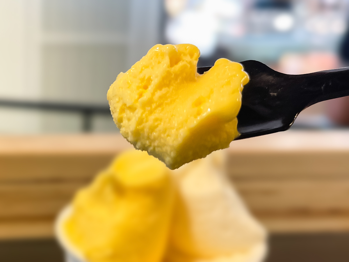 「ボンチーノ」で宮崎県産いちご・日南レモン・日向夏などジェラート食べた！／道の駅 都城NiQLL(ニクル)