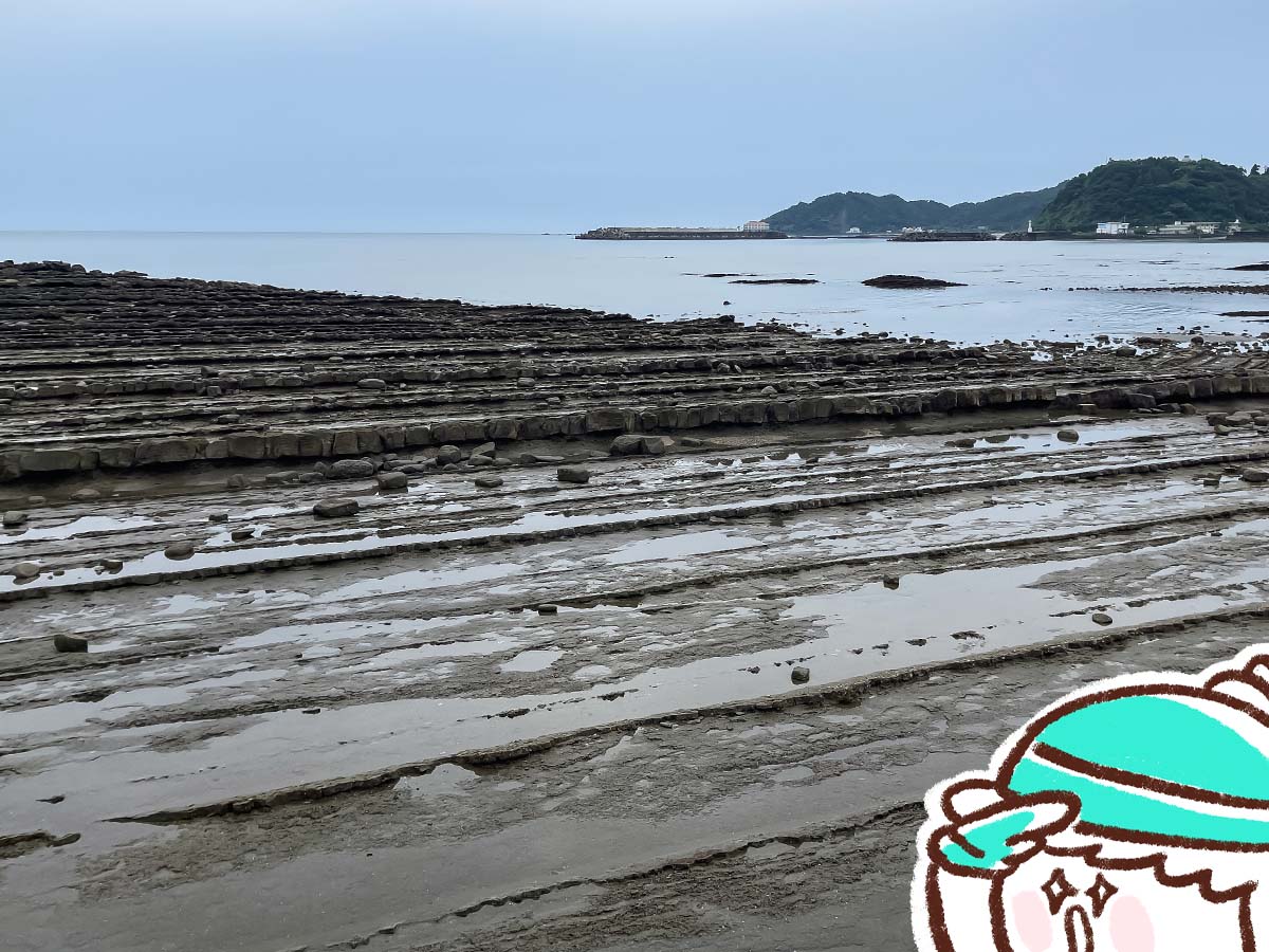 鬼の洗濯岩に囲まれた「青島神社」に行ってみた！／宮崎県青島