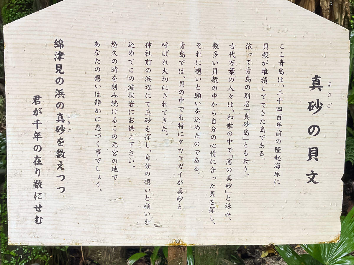 鬼の洗濯岩に囲まれた「青島神社」に行ってみた！／宮崎県青島
