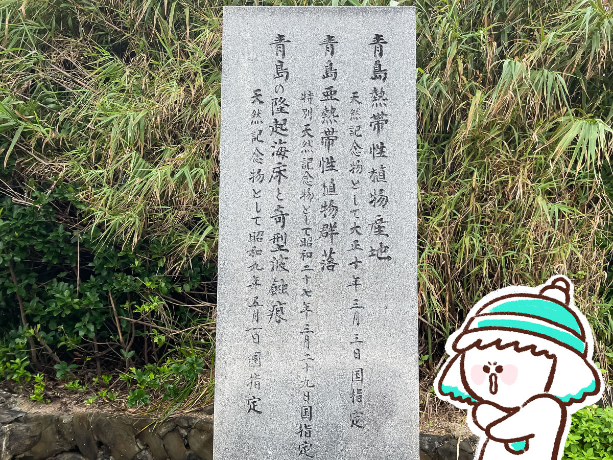 鬼の洗濯岩に囲まれた「青島神社」に行ってみた！／宮崎県青島