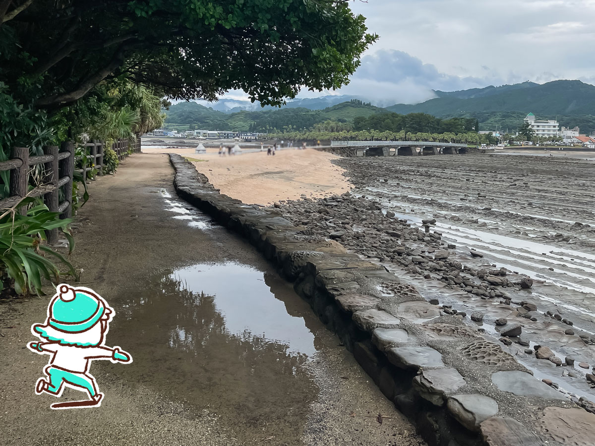 鬼の洗濯岩に囲まれた「青島神社」に行ってみた！／宮崎県青島