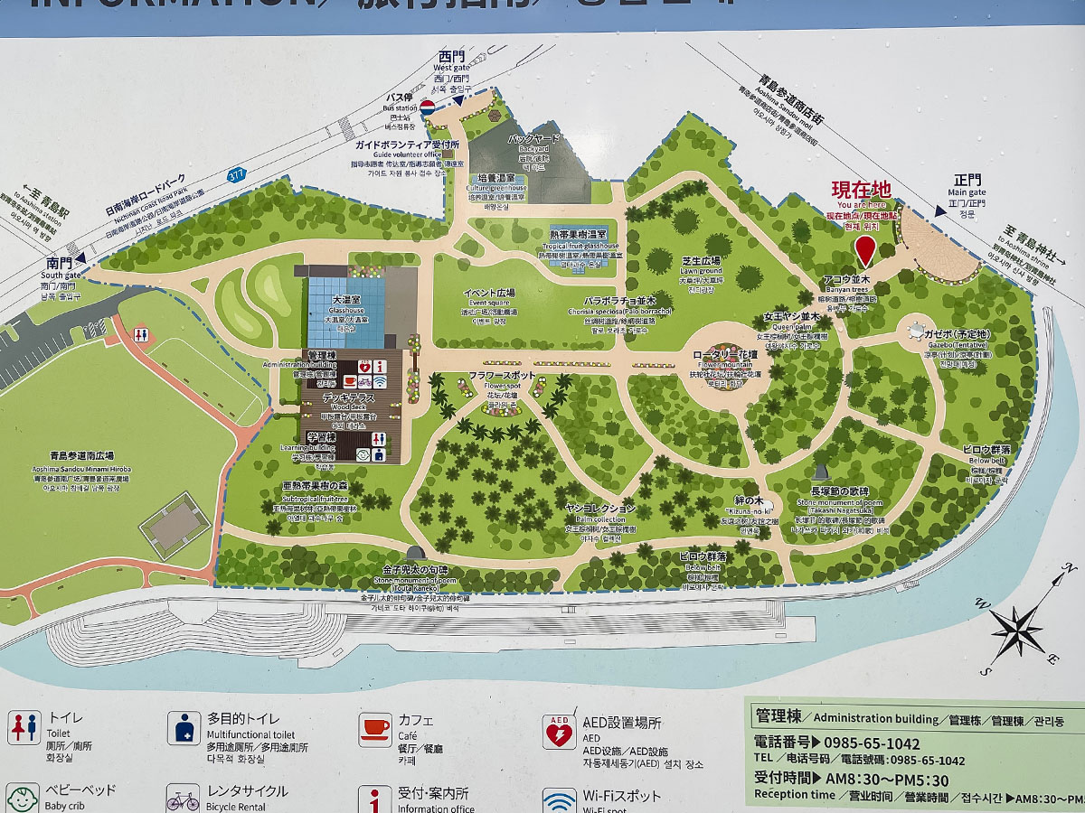 「宮交ボタニックガーデン青島(亜熱帯植物園)」の大温室、熱帯果樹温室に行ってみた！／宮崎県青島