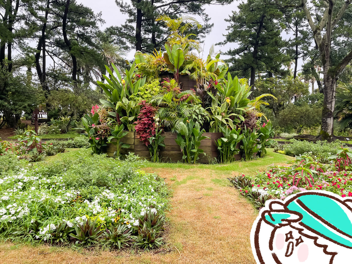 「宮交ボタニックガーデン青島(亜熱帯植物園)」の大温室、熱帯果樹温室に行ってみた！／宮崎県青島