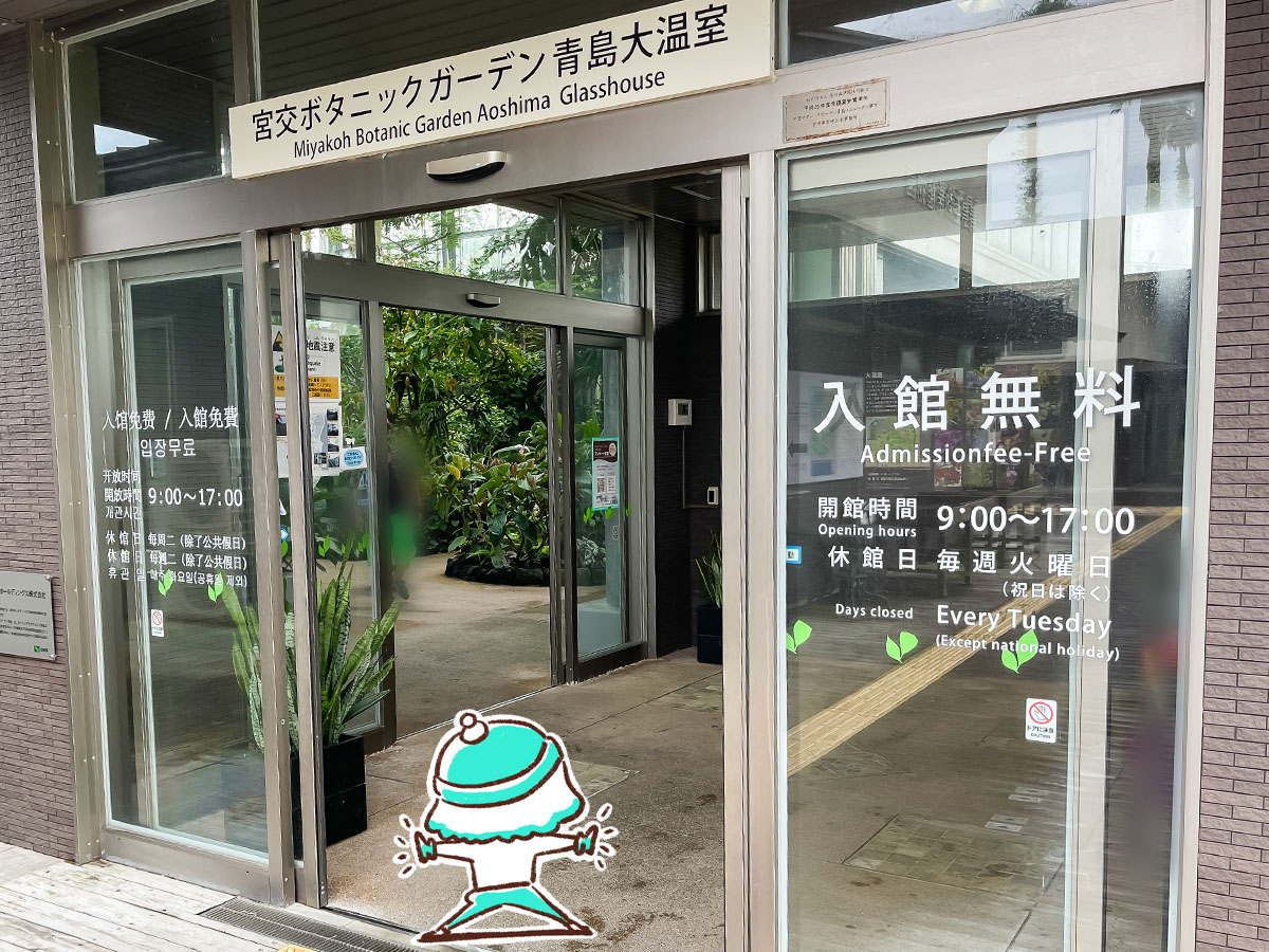 「宮交ボタニックガーデン青島(亜熱帯植物園)」の大温室、熱帯果樹温室に行ってみた！／宮崎県青島