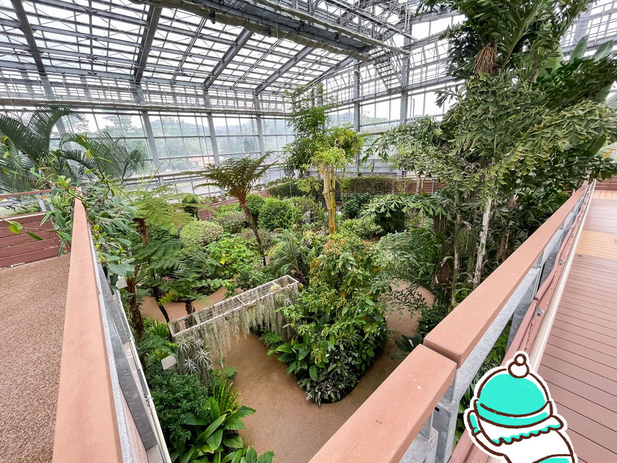 「宮交ボタニックガーデン青島(亜熱帯植物園)」の大温室、熱帯果樹温室に行ってみた！／宮崎県青島