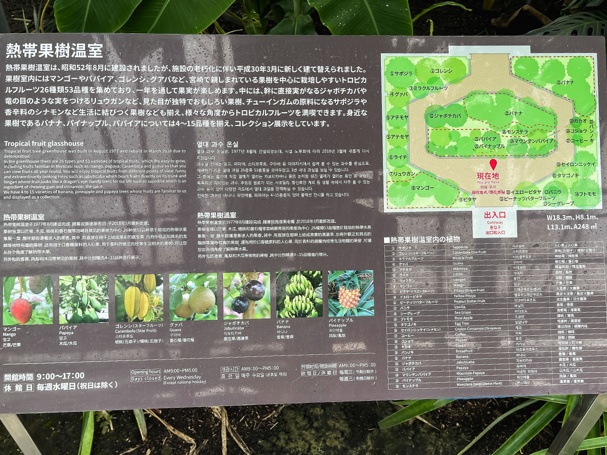 「宮交ボタニックガーデン青島(亜熱帯植物園)」の大温室、熱帯果樹温室に行ってみた！／宮崎県青島
