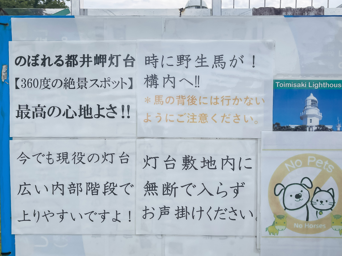 野生の馬が生息してる「都井岬(といみさき)」に行ってみた!/宮崎県串間