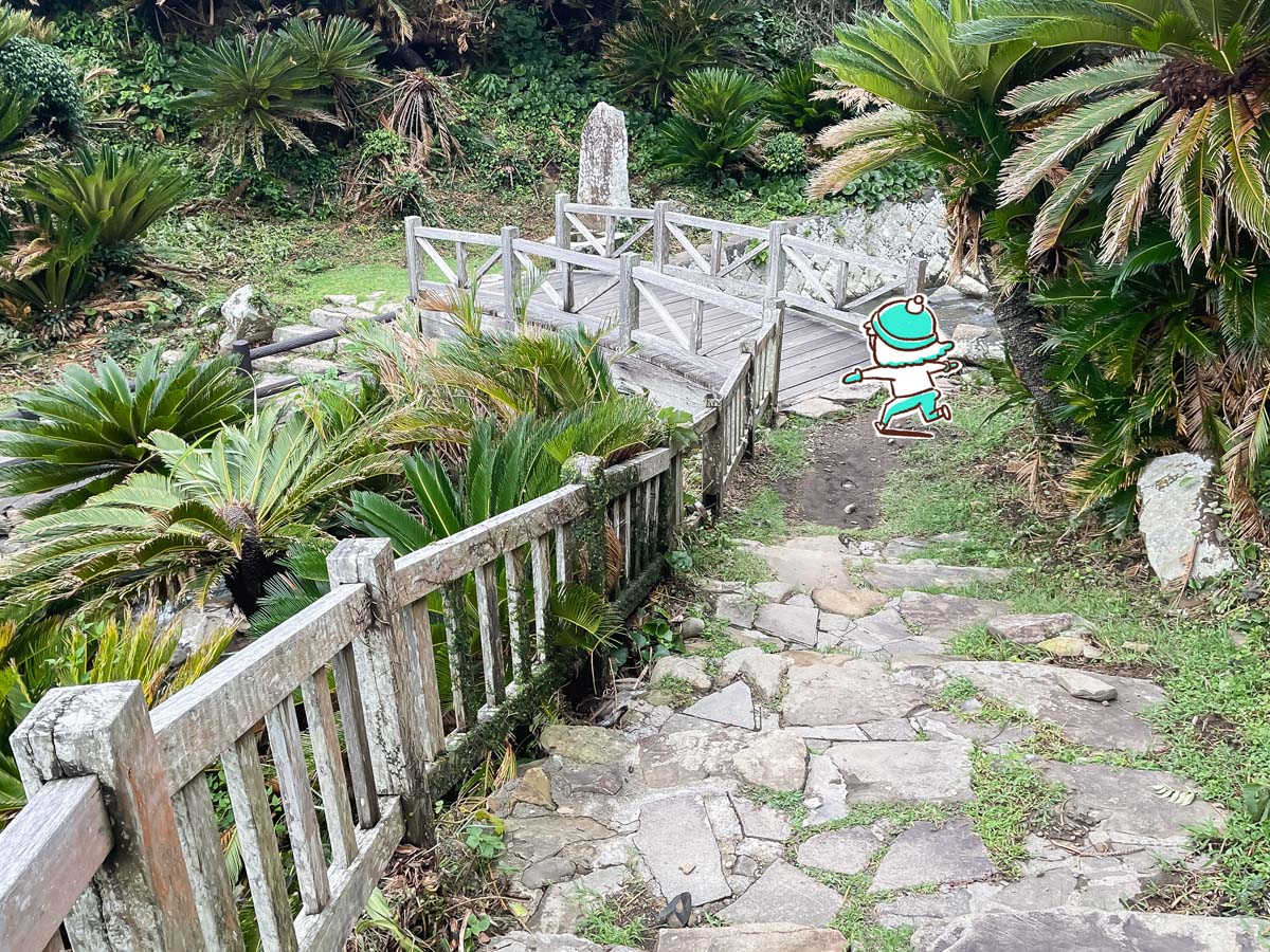 国の天然記念物"ソテツ自生地"にある「御﨑神社(みさきじんじゃ)」に行ってみた!/宮崎県都井岬