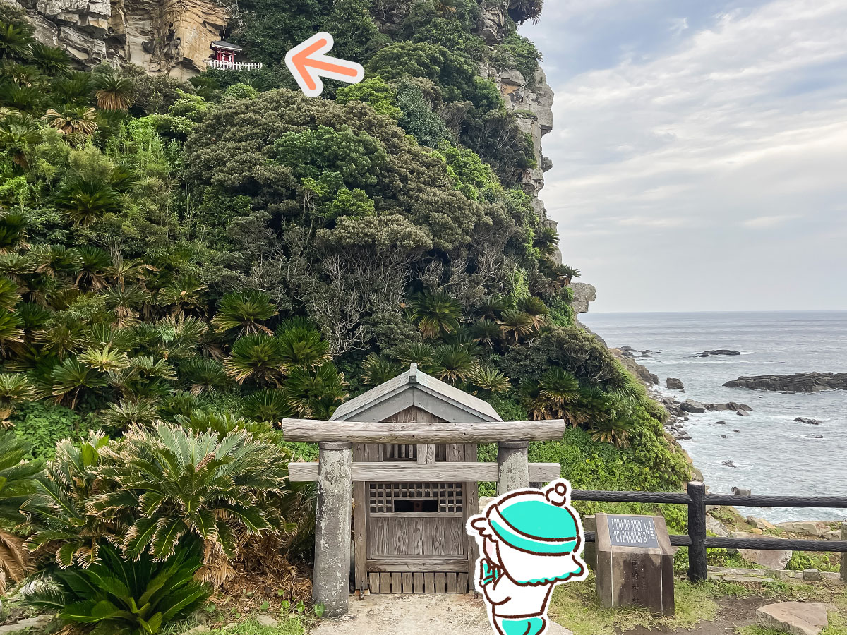 国の天然記念物"ソテツ自生地"にある「御﨑神社(みさきじんじゃ)」に行ってみた!/宮崎県都井岬