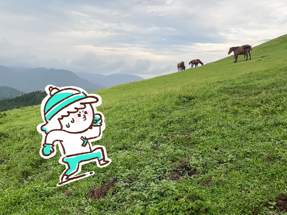 野生の馬が生息してる「都井岬(といみさき)」に行ってみた！／宮崎県串間