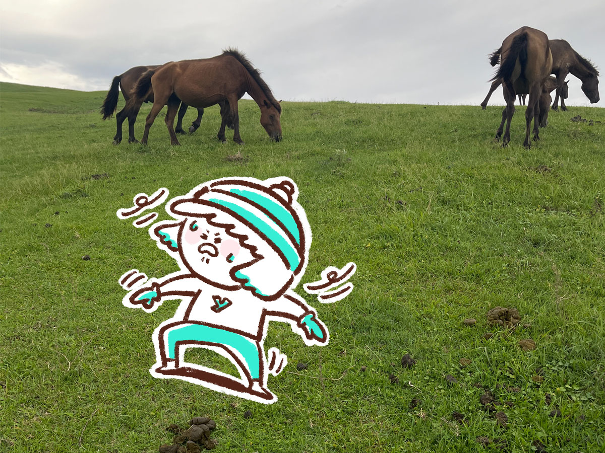 野生の馬が生息してる「都井岬(といみさき)」に行ってみた！／宮崎県串間