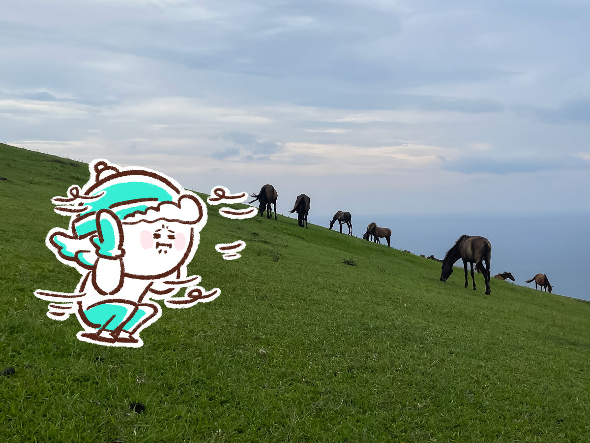 野生の馬が生息してる「都井岬(といみさき)」に行ってみた！／宮崎県串間