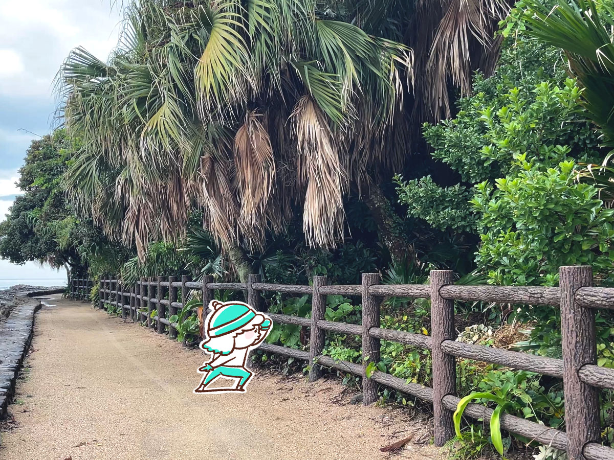 鬼の洗濯岩に囲まれた「青島神社」に行ってみた！／宮崎県青島