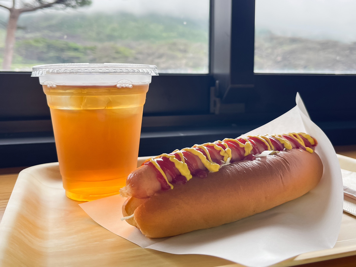 足湯の駅えびの高原「モリエンドカフェ」でえびの産ウインナーが入ったホットドッグ食べたよ/鹿児島県えびの市