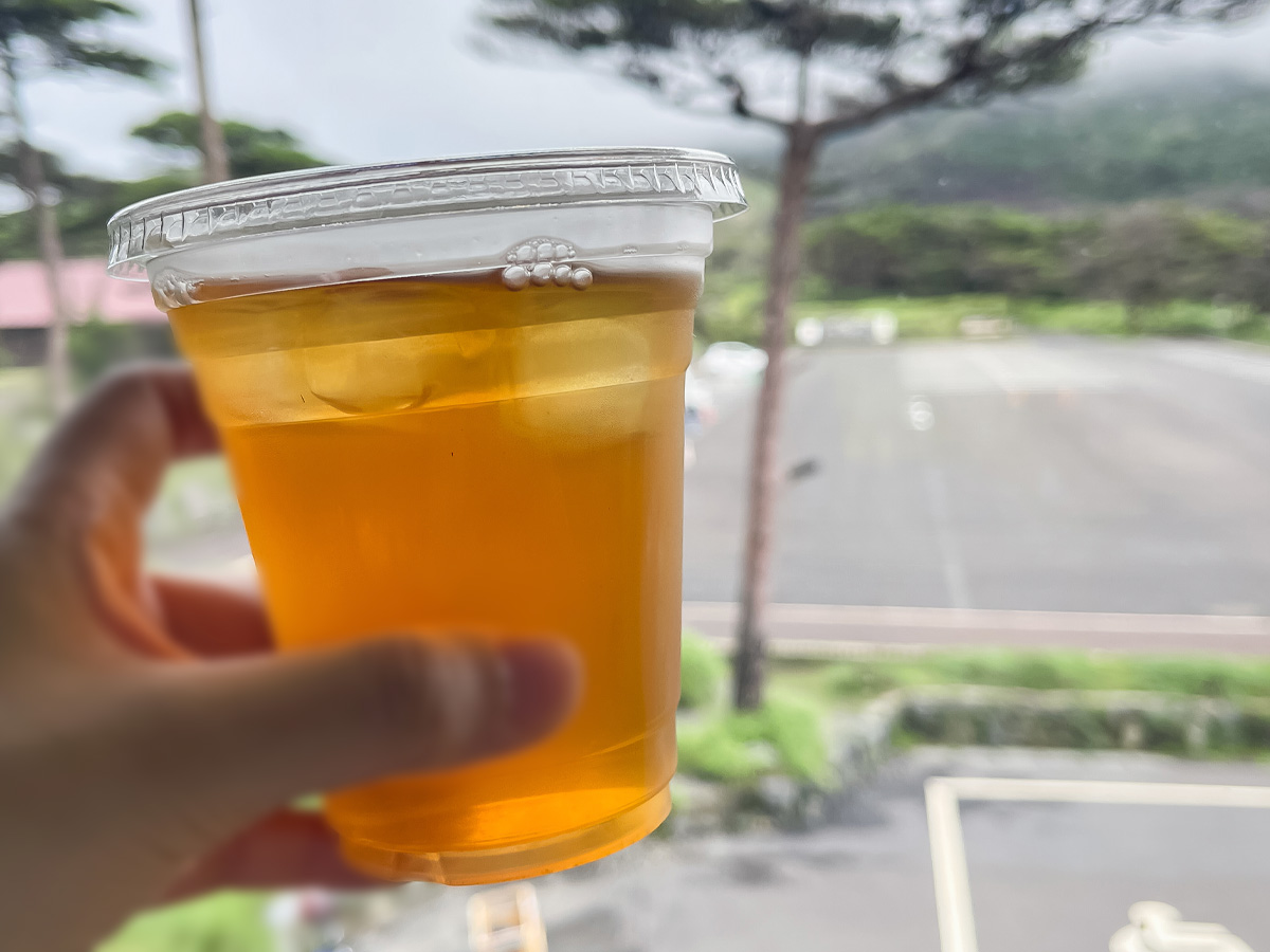足湯の駅えびの高原「モリエンドカフェ」でえびの産ウインナーが入ったホットドッグ食べたよ/鹿児島県えびの市