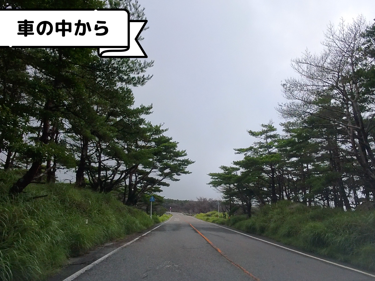 足湯の駅えびの高原「モリエンドカフェ」でえびの産ウインナーが入ったホットドッグ食べたよ/鹿児島県えびの市