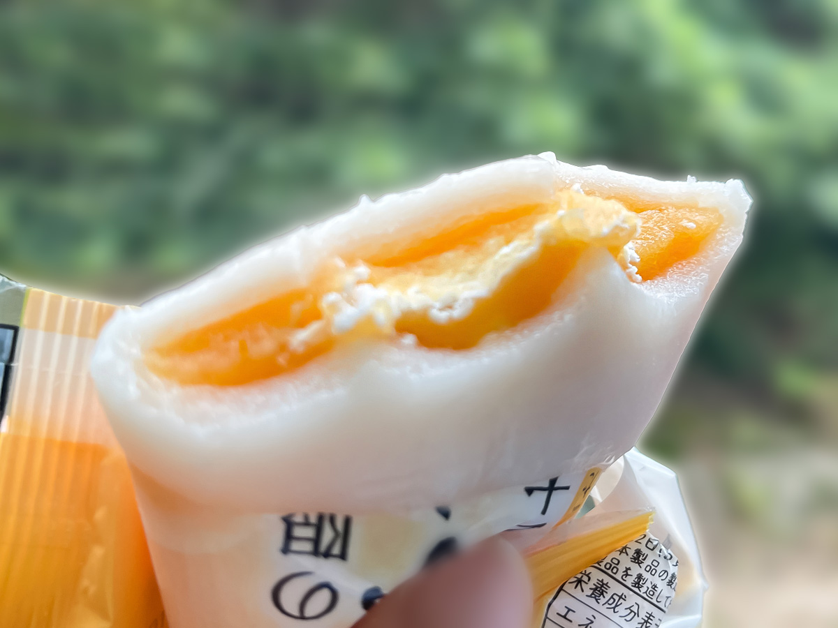 「道の駅えびの」で"きんかんクリーム大福"買ったよ／鹿児島県えびの市