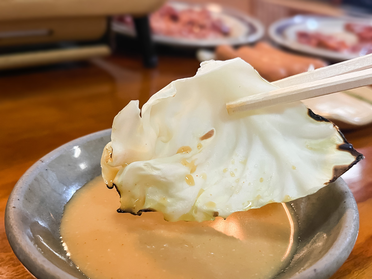 「やきにく福楽園」でカルビ、ロース、黒豚ウインナー食べた!/宮崎県都城市