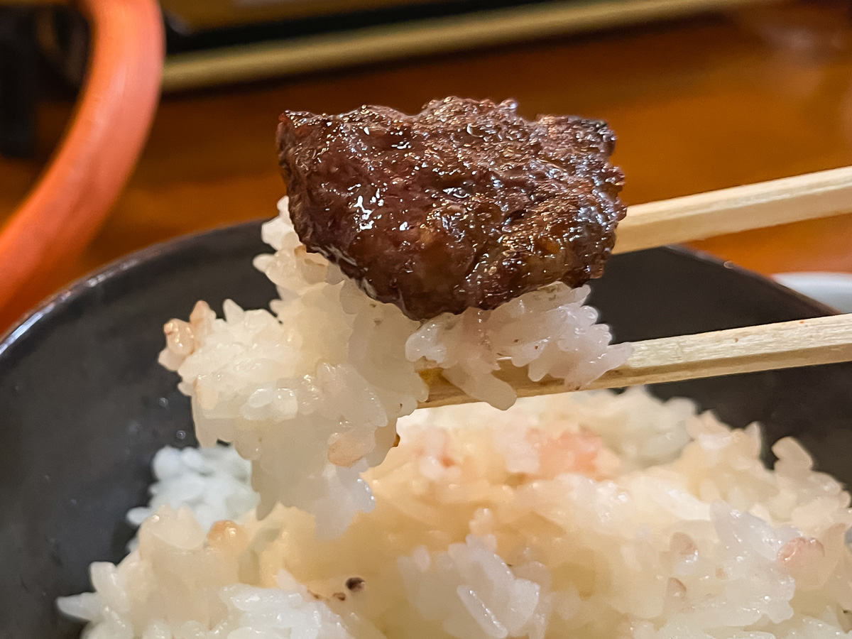 「やきにく福楽園」でカルビ、ロース、黒豚ウインナー食べた!/宮崎県都城市