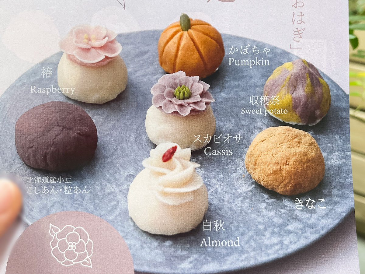 フラワーおはぎ専門店「Oh!huggy!!」でスカビオサ・椿おはぎ食べたよ/横浜・元町