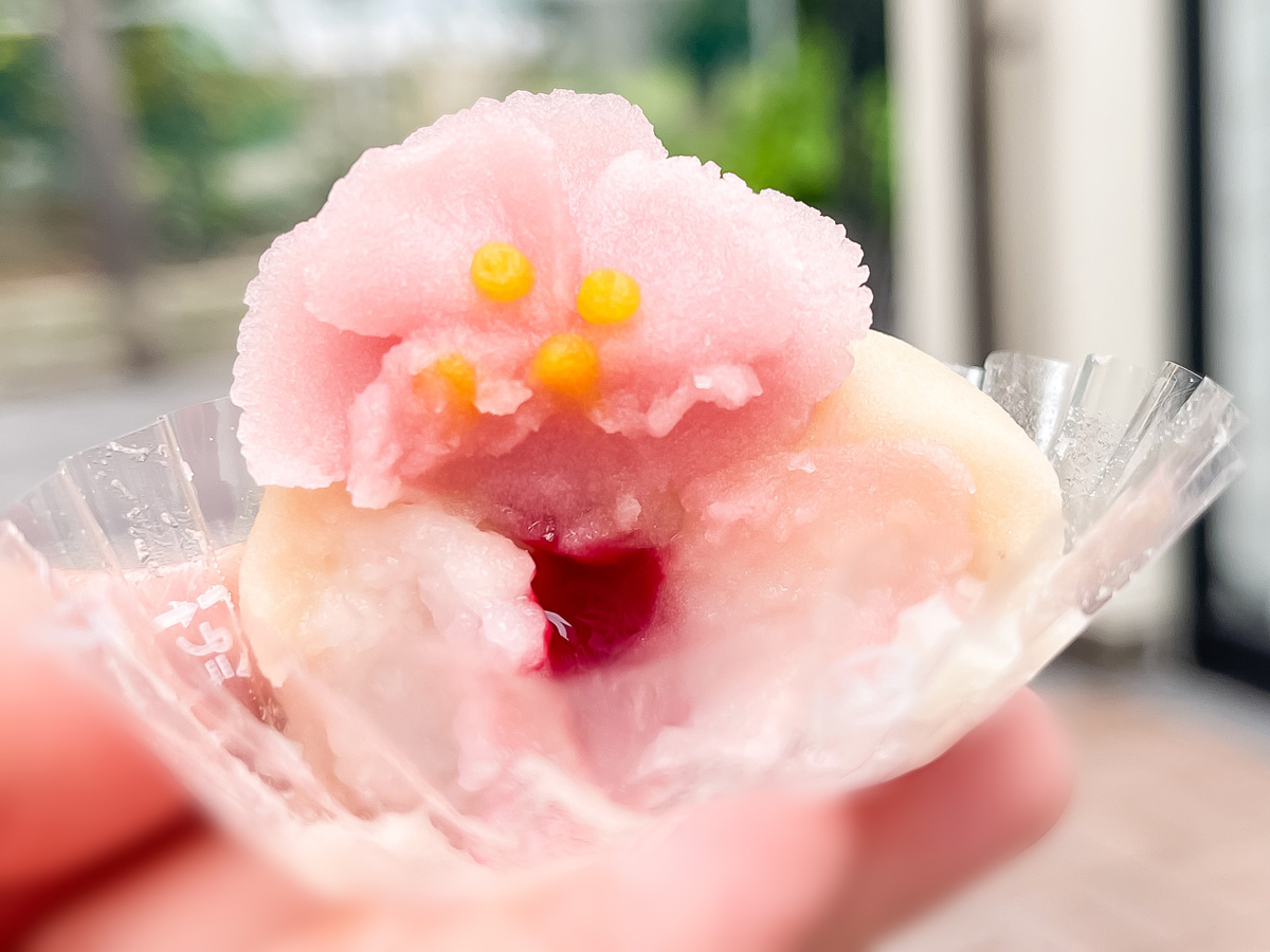 フラワーおはぎ専門店「Oh!huggy!!」でスカビオサ・椿おはぎ食べたよ/横浜・元町