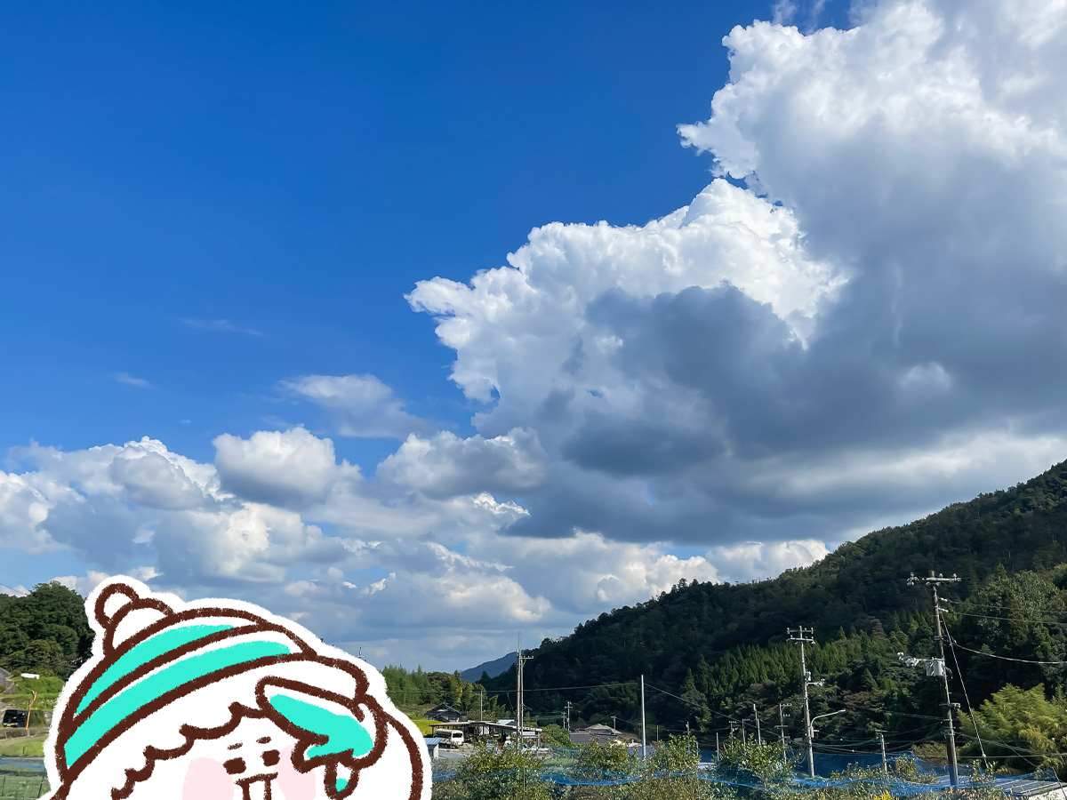 「toroffon」の気まぐれ純生シフォンカップ、米粉ノンオイルシフォンケーキ(ロイヤルミルクティー)食べたよ！／広島県