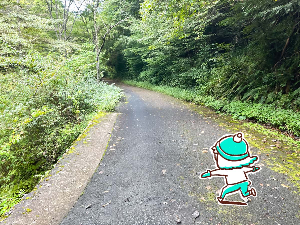 竜頭峡にある「ナメラ滝」「二段滝」「奥の滝」見てきたよ！／広島県安芸太田町