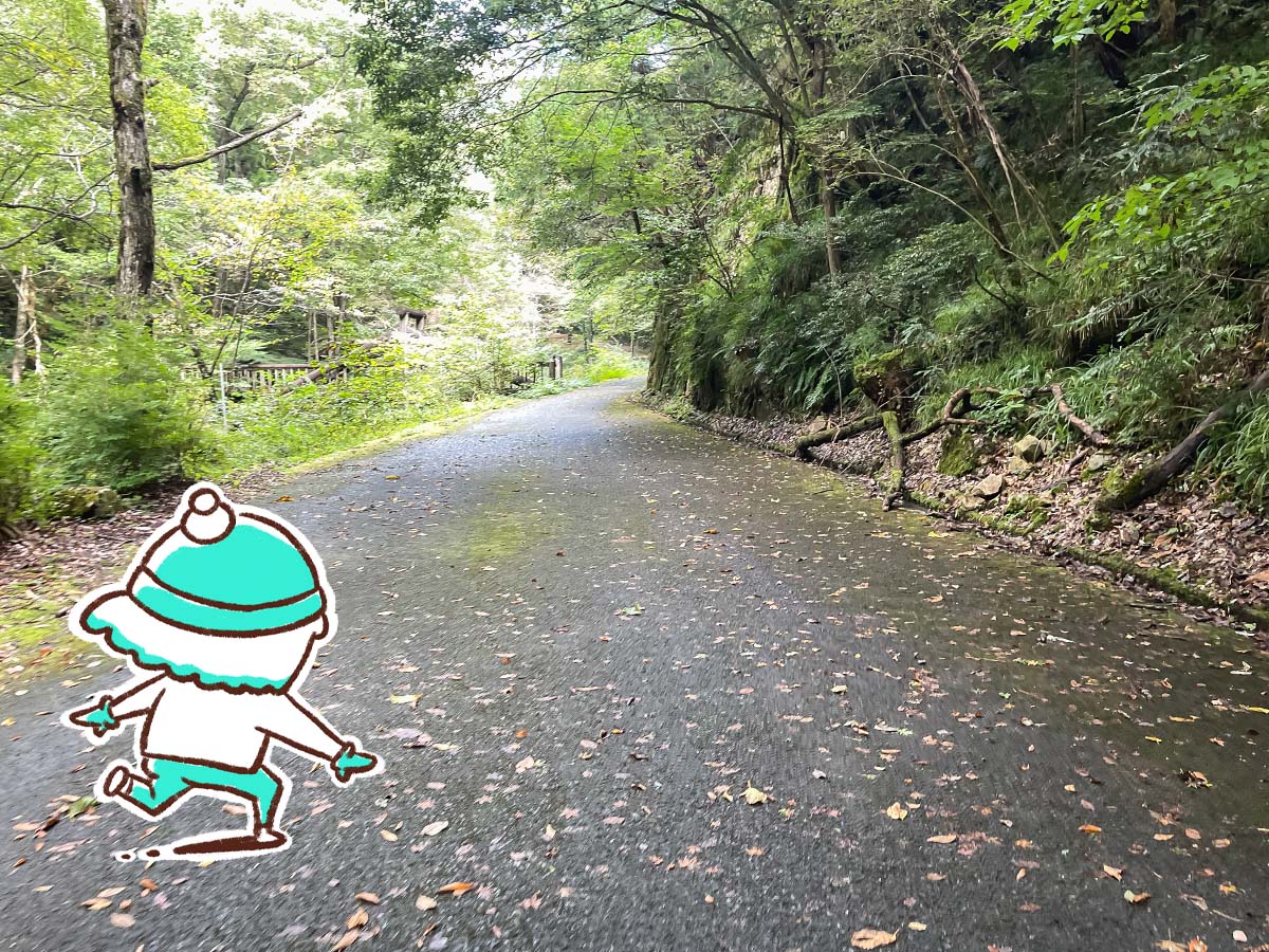 竜頭峡にある「ナメラ滝」「二段滝」「奥の滝」見てきたよ！／広島県安芸太田町