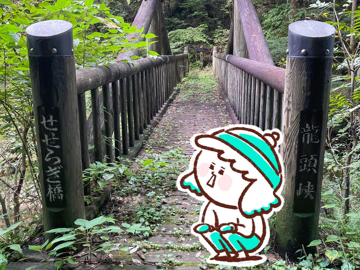 竜頭峡にある「ナメラ滝」「二段滝」「奥の滝」見てきたよ！／広島県安芸太田町