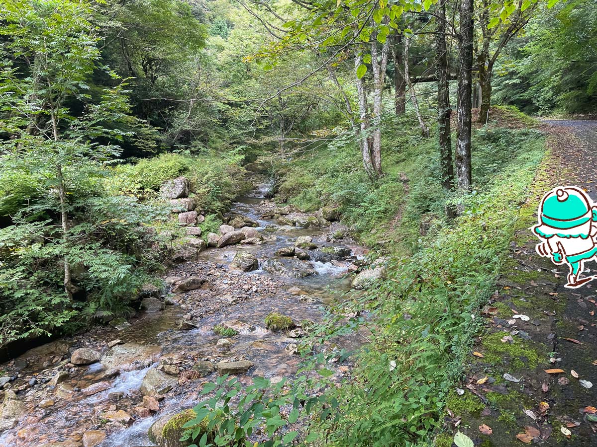 竜頭峡にある「ナメラ滝」「二段滝」「奥の滝」見てきたよ！／広島県安芸太田町