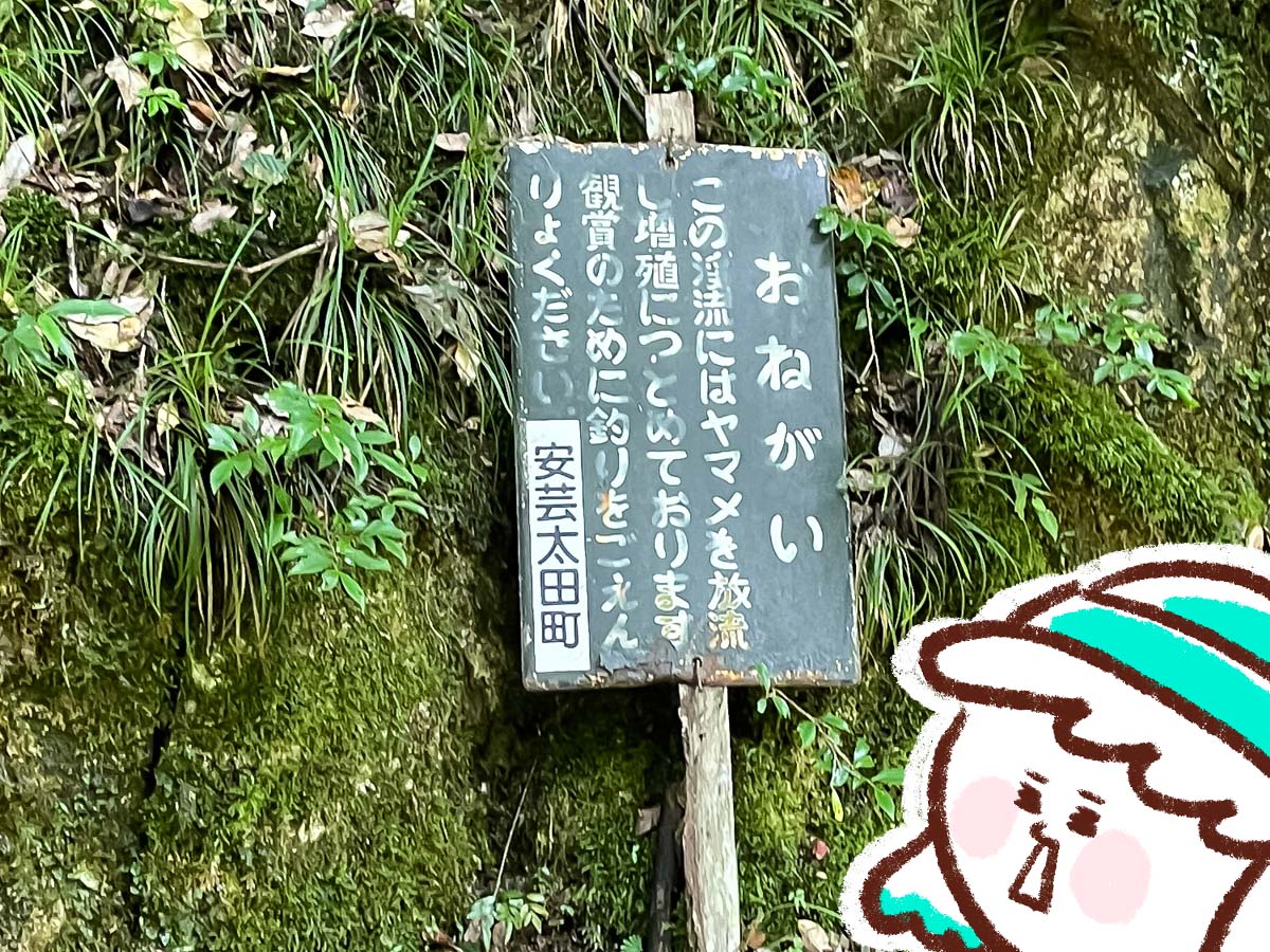 竜頭峡にある「ナメラ滝」「二段滝」「奥の滝」見てきたよ！／広島県安芸太田町