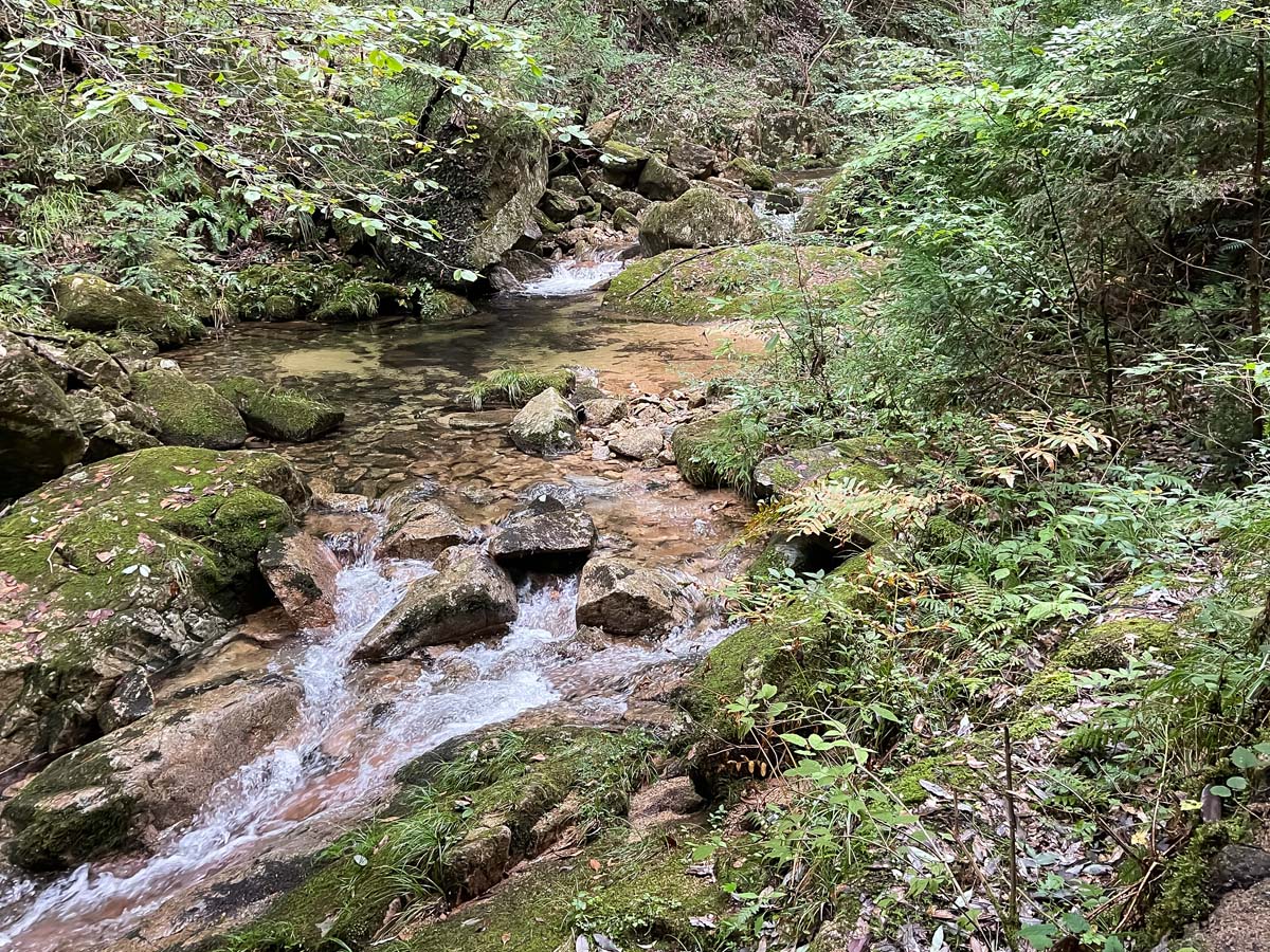 竜頭峡にある「ナメラ滝」「二段滝」「奥の滝」見てきたよ！／広島県安芸太田町