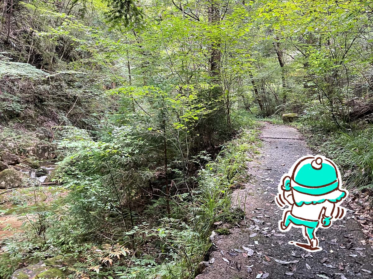 竜頭峡にある「ナメラ滝」「二段滝」「奥の滝」見てきたよ！／広島県安芸太田町