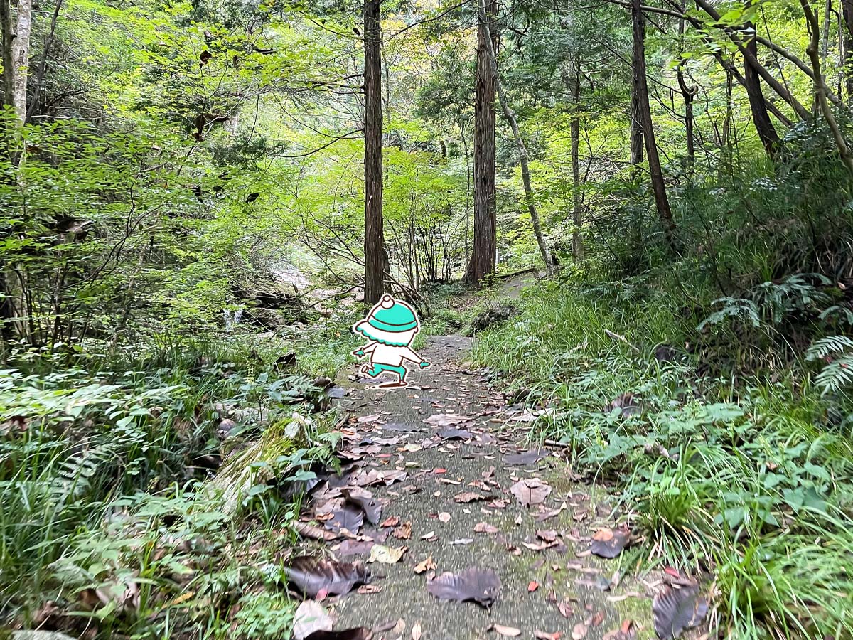 竜頭峡にある「ナメラ滝」「二段滝」「奥の滝」見てきたよ！／広島県安芸太田町