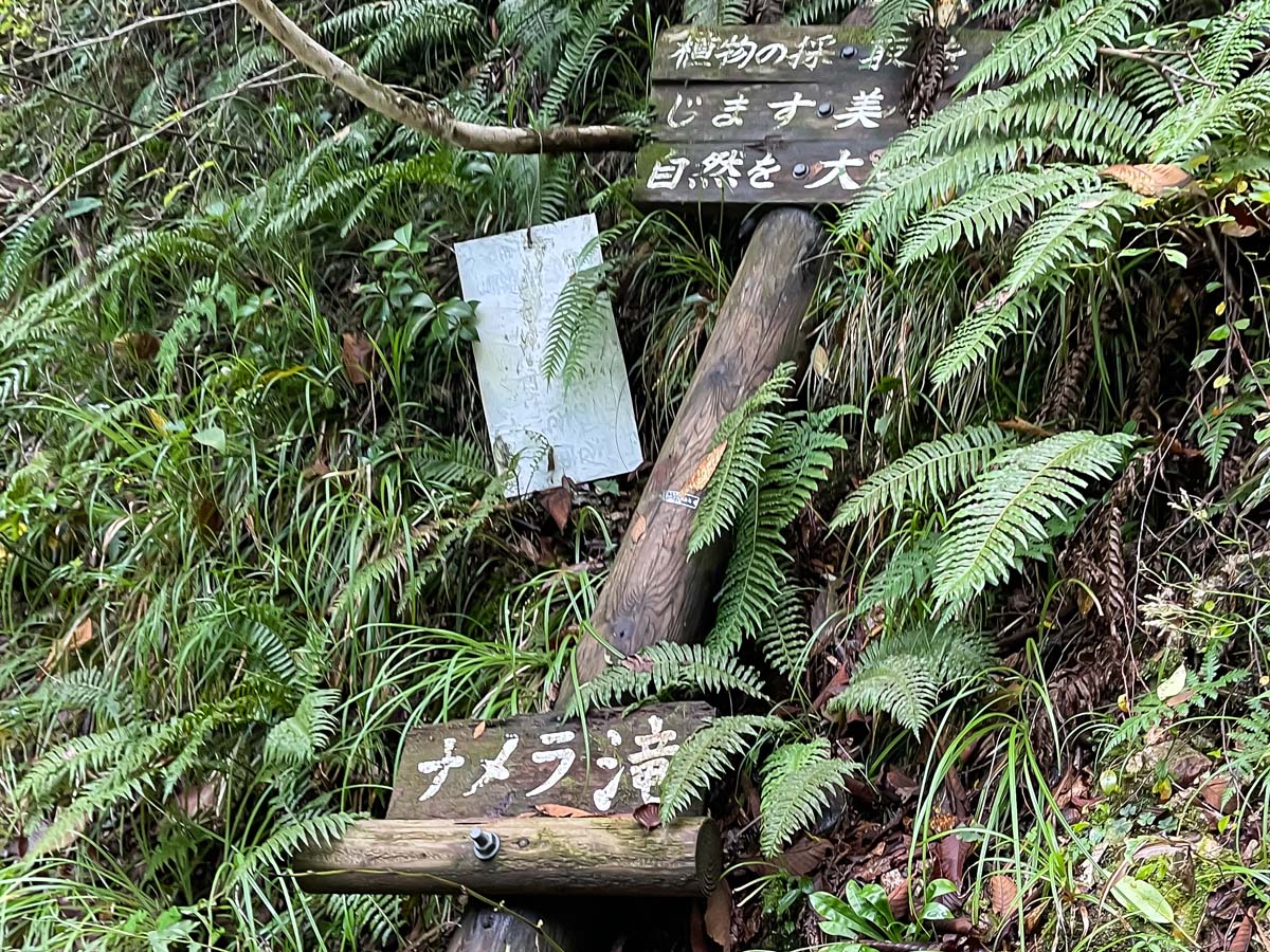 竜頭峡にある「ナメラ滝」「二段滝」「奥の滝」見てきたよ！／広島県安芸太田町