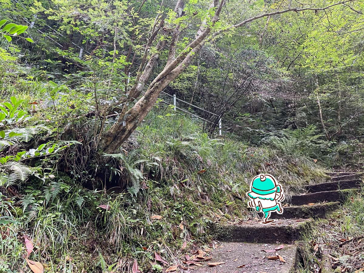 竜頭峡にある「ナメラ滝」「二段滝」「奥の滝」見てきたよ！／広島県安芸太田町