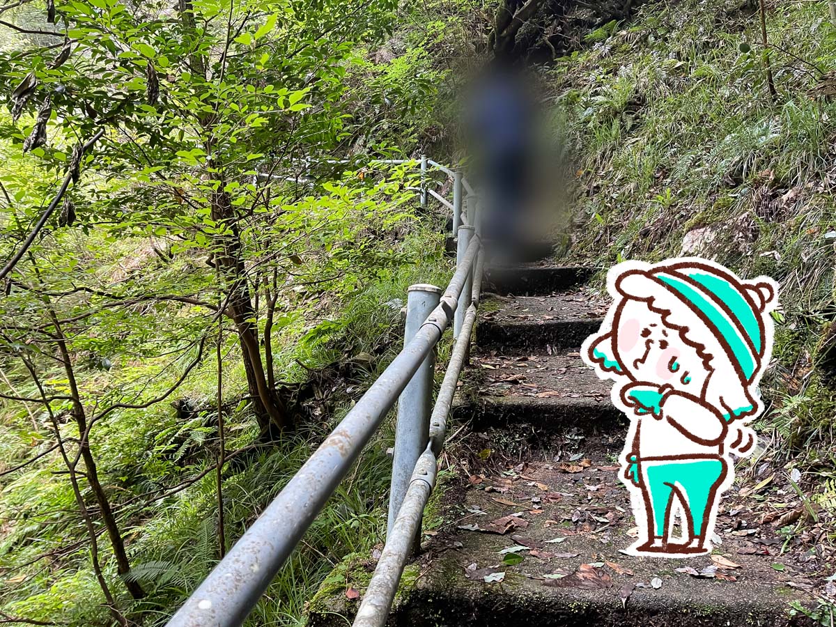 竜頭峡にある「ナメラ滝」「二段滝」「奥の滝」見てきたよ！／広島県安芸太田町