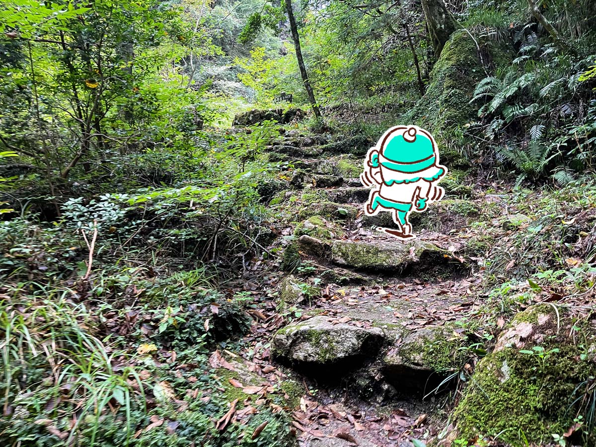 竜頭峡にある「ナメラ滝」「二段滝」「奥の滝」見てきたよ！／広島県安芸太田町