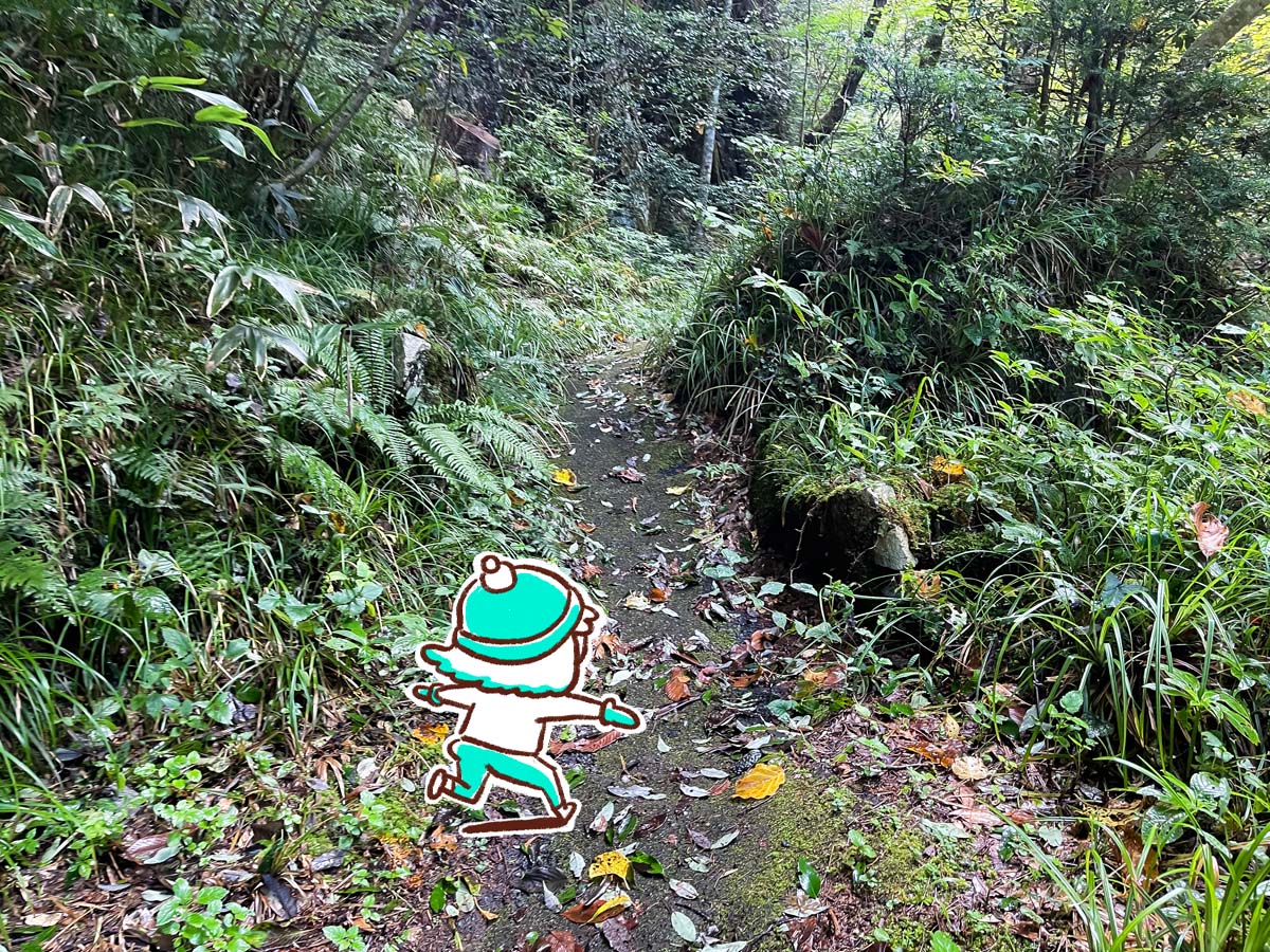 竜頭峡にある「ナメラ滝」「二段滝」「奥の滝」見てきたよ！／広島県安芸太田町