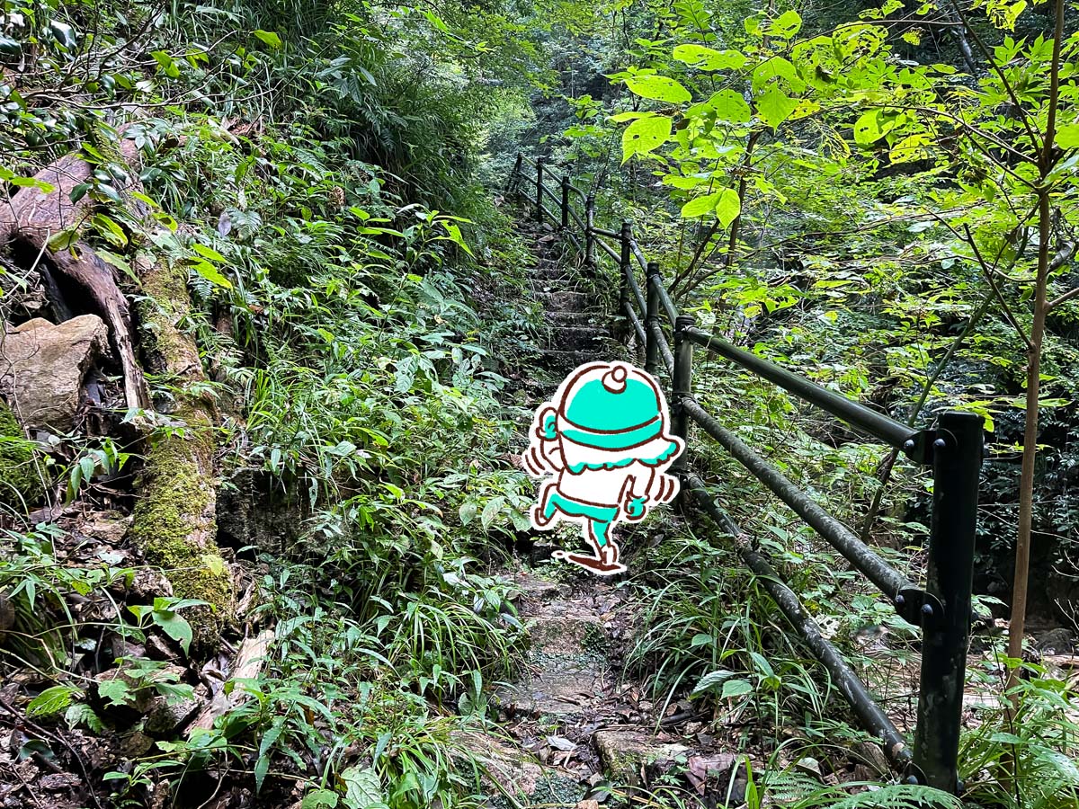 竜頭峡にある「ナメラ滝」「二段滝」「奥の滝」見てきたよ！／広島県安芸太田町