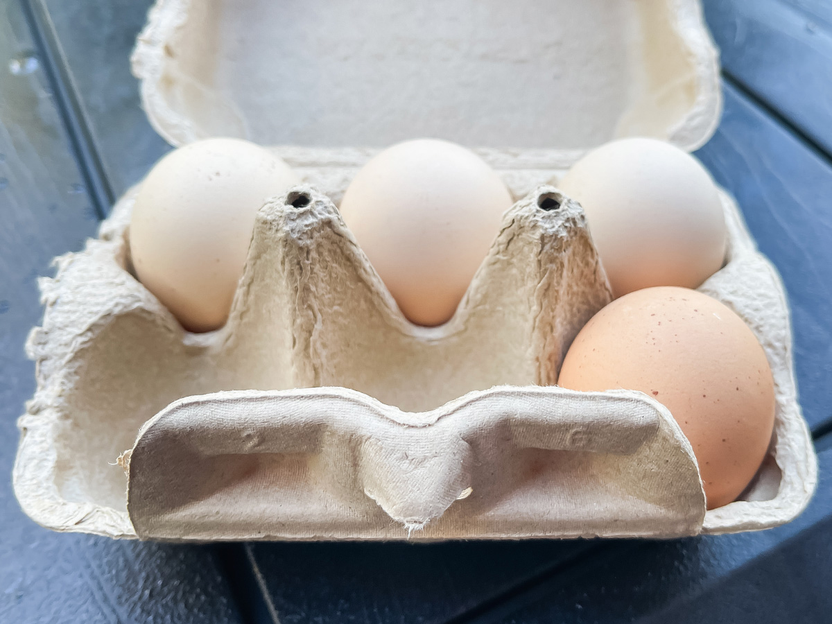 平飼い自然養鶏場「砂谷コッコ村」の卵を買ってみたよ!/広島県湯来町