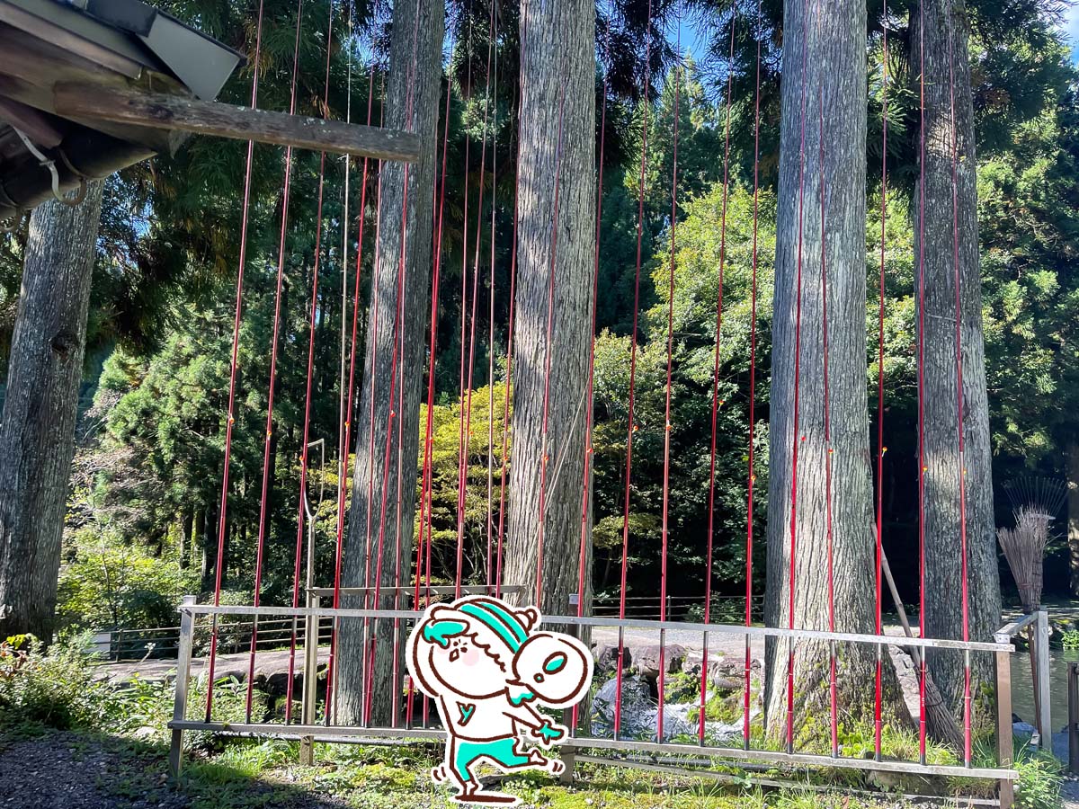 つり堀亭「にしむら」で渓流魚アマゴとイワナ釣って料理にしてもらったよ/広島県吉和