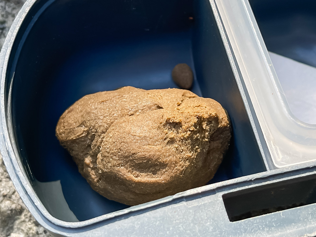 つり堀亭「にしむら」で渓流魚アマゴとイワナ釣って料理にしてもらったよ/広島県吉和