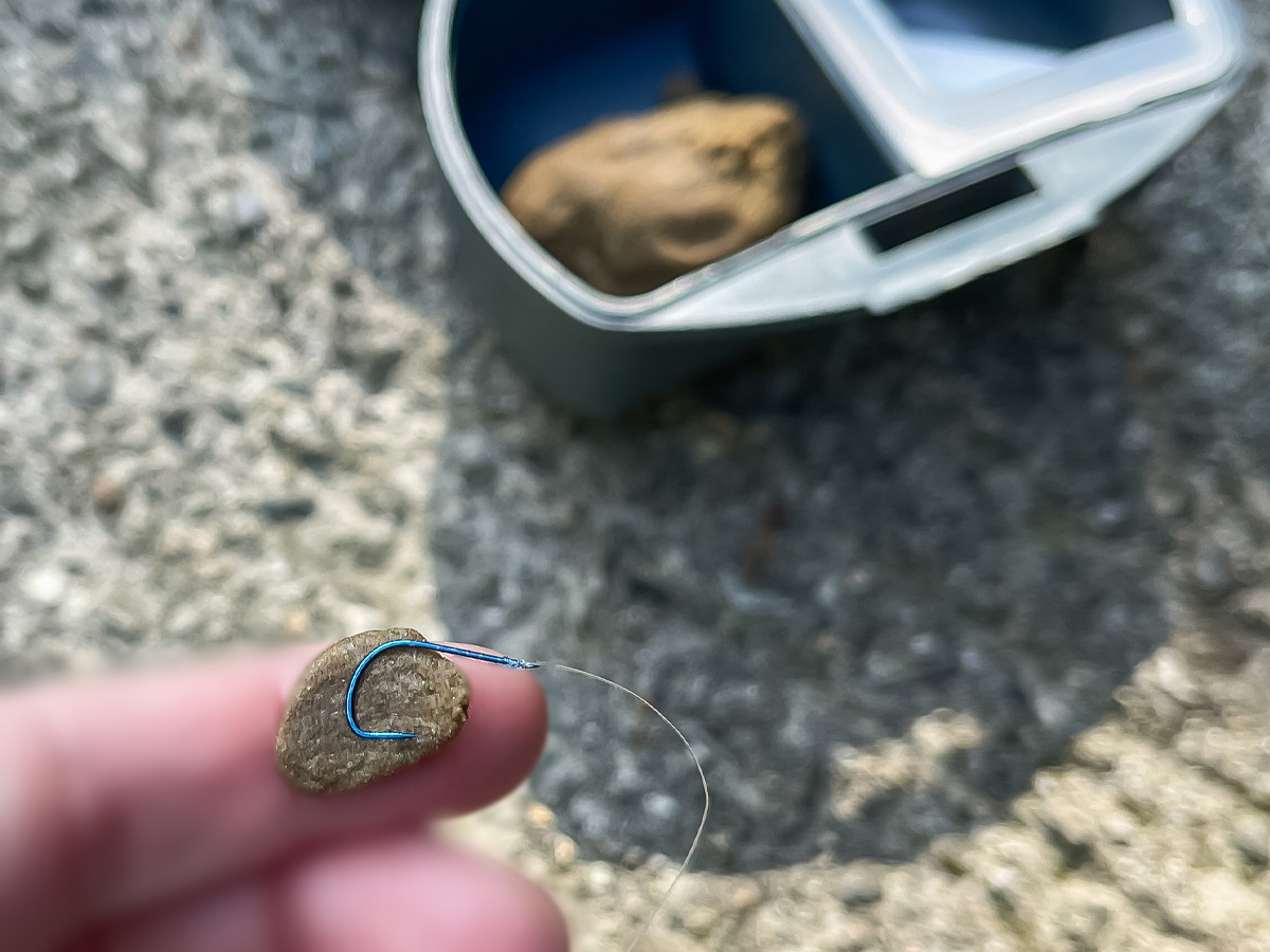 つり堀亭「にしむら」で渓流魚アマゴとイワナ釣って料理にしてもらったよ/広島県吉和