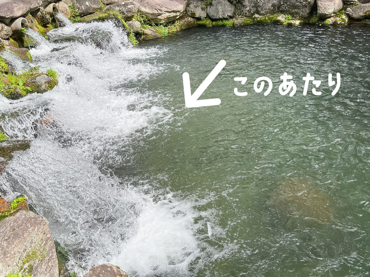 つり堀亭「にしむら」で渓流魚アマゴとイワナ釣って料理にしてもらったよ/広島県吉和